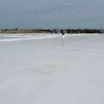 Versatile Roofing Systems