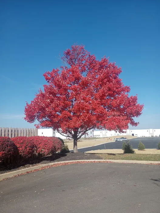 Blackmore & Buckner Roofing, a Tecta America Company LLC Picture 7