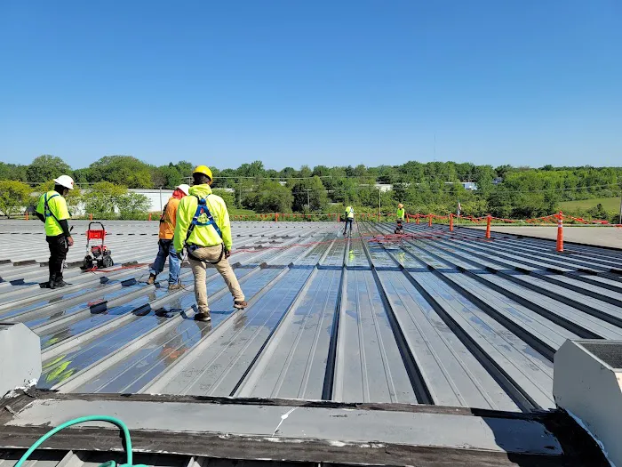 The Roof Squad Picture 3