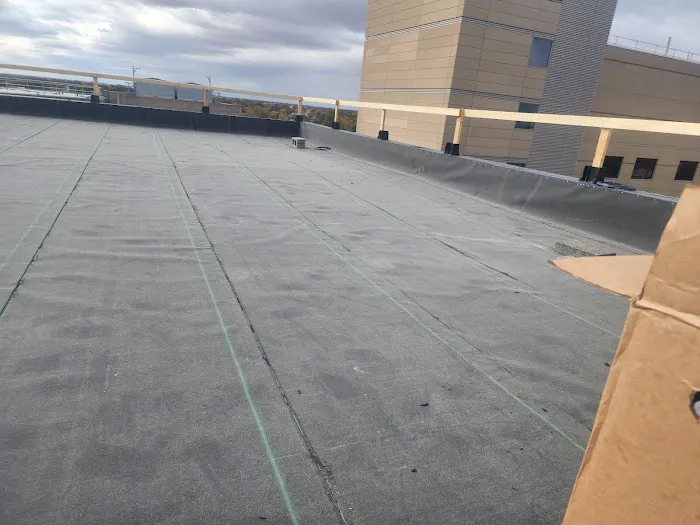 Eicher roofing Picture 4