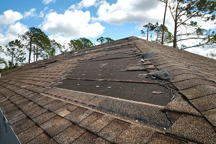 Roof Reign Picture 1