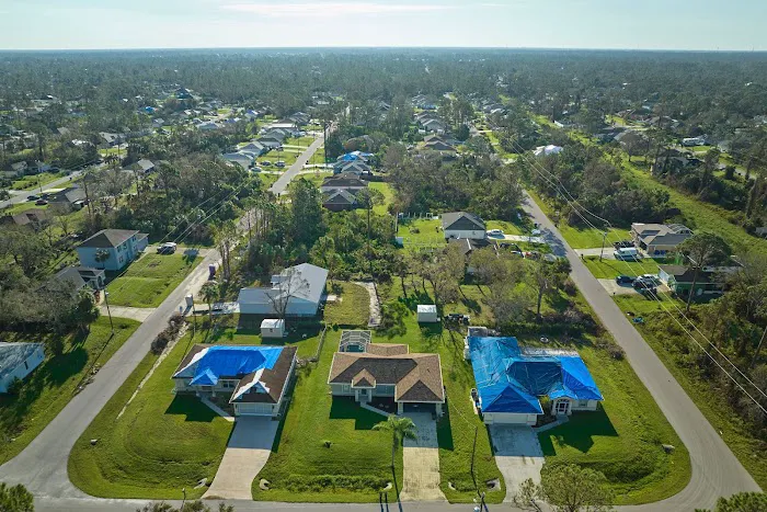 Roof Reign Picture 3