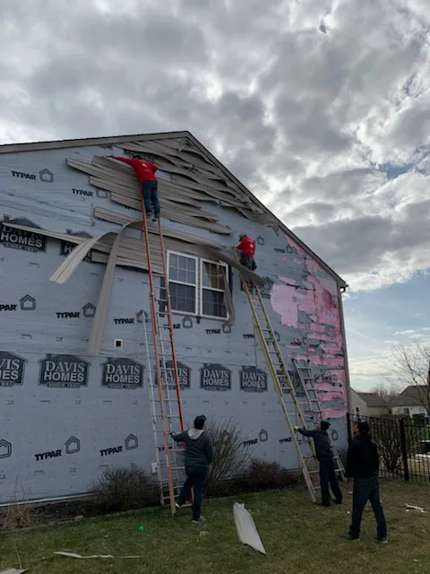 MK Property Solutions Picture 10