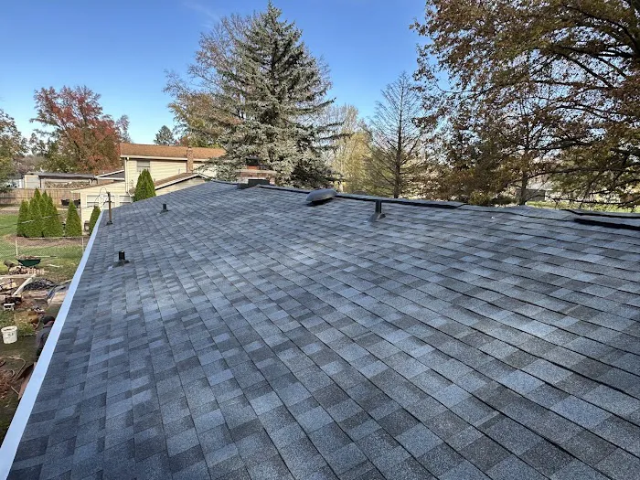 Blue Ladder Roofing Picture 7