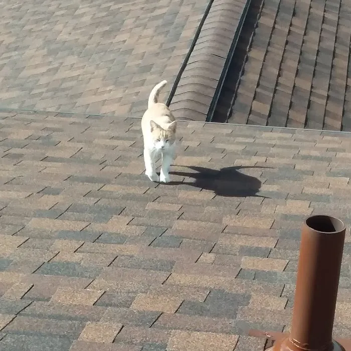 NFL Exteriors LLC Picture 6