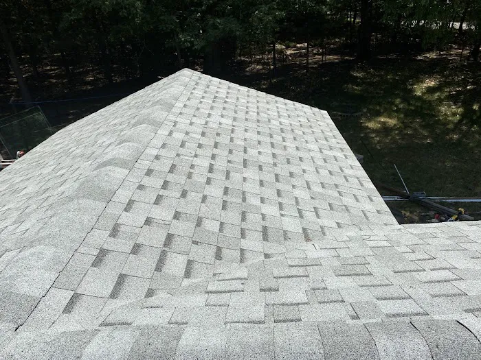 Pro-Owl Roof and Construction Picture 3