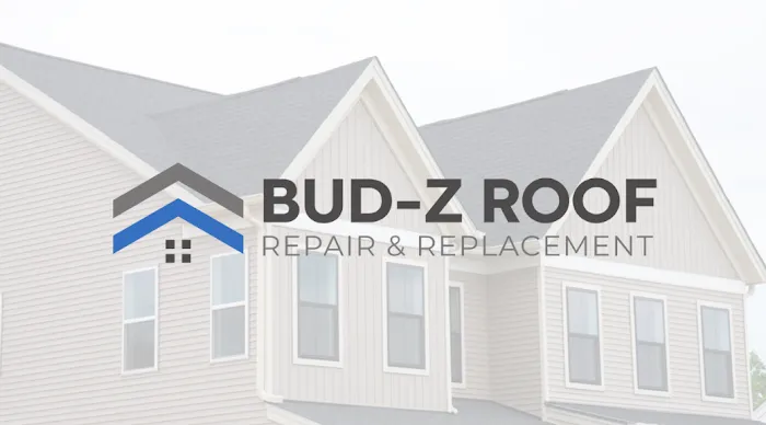 Bud-Z Roof Repair & Replacement Picture 3