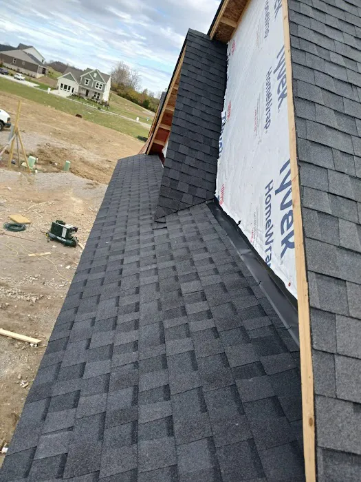 Huatulco Roofing Service Picture 4