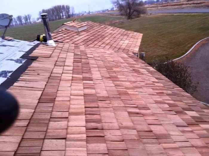 Expert Indy Picture 2