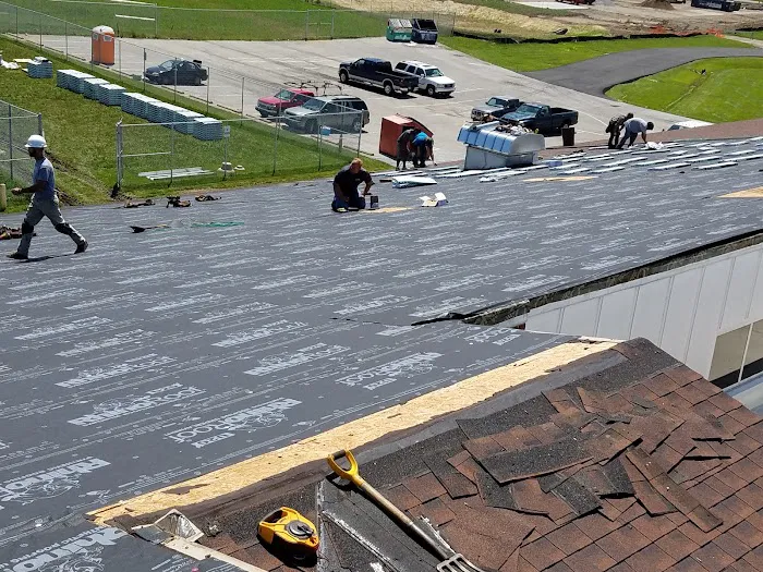 Expert Indy Picture 1