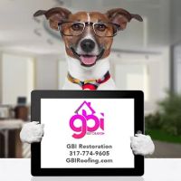 GBI Restoration ico