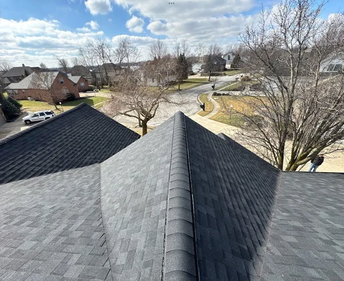 Element Roofing Picture 1