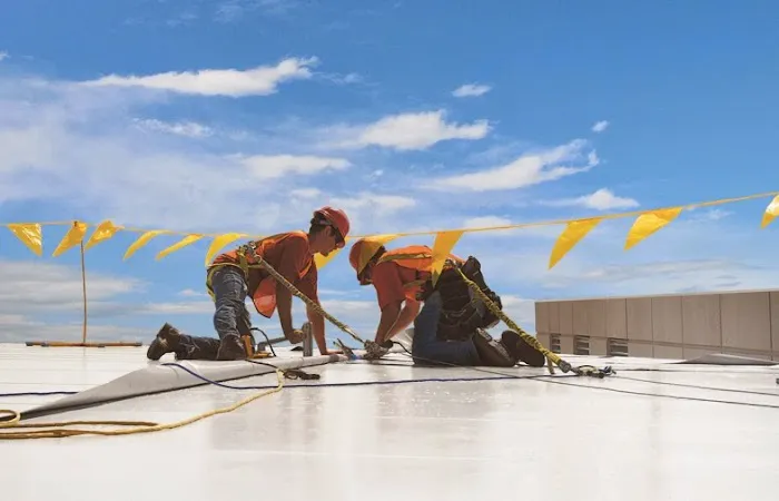 Cotterman & Company Inc. Picture 1