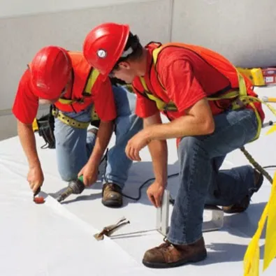 Cotterman & Company Inc. Picture 7