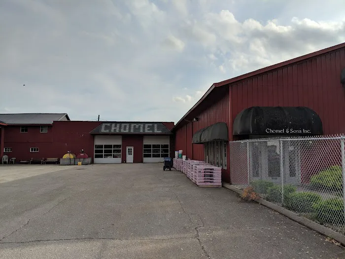 Chomel & Sons Roofing Inc Picture 1
