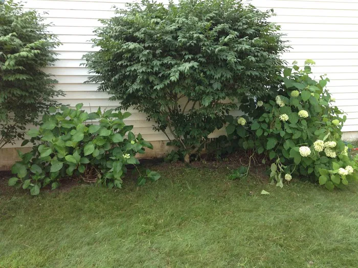 Mr. B's Roofing & Siding, Inc. Picture 5