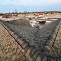 Loon Roofing & Construction ico