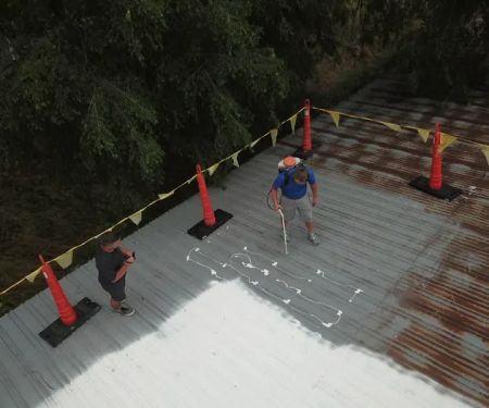 Castle Roof Coatings