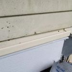 Schmidt Roofing & Construction