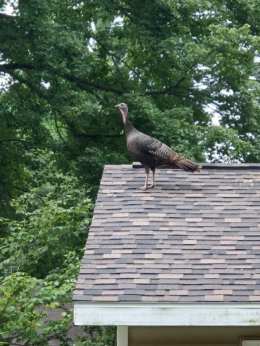 Schmidt Roofing & Construction Picture 4