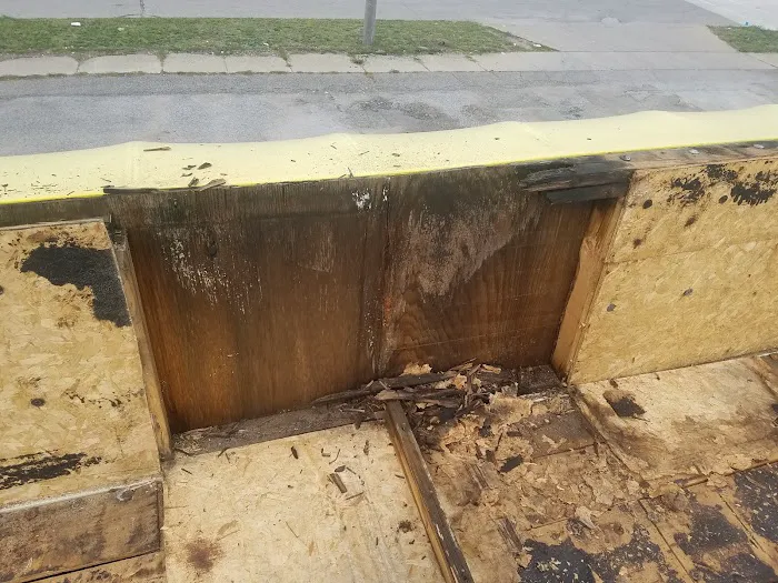 A Local Guy Picture 1