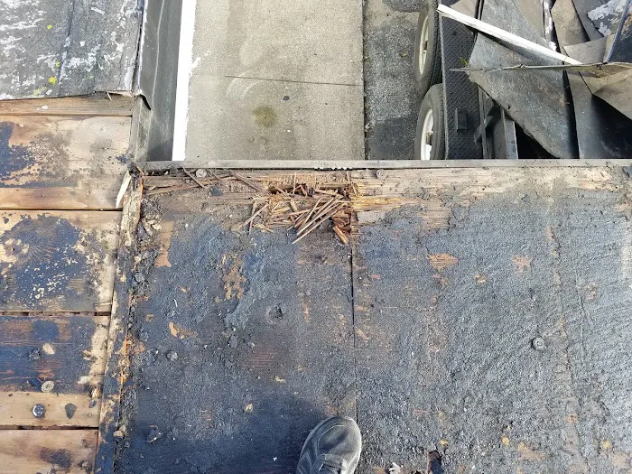 A Local Guy Picture 5