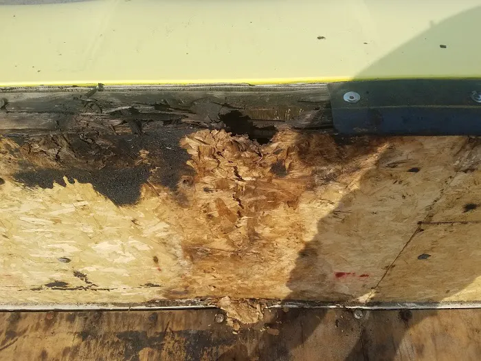 A Local Guy Picture 4