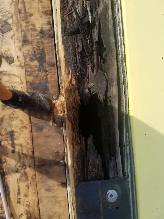 A Local Guy Picture 7