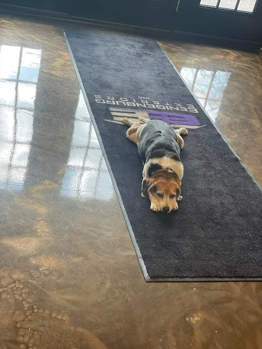 Eenigenburg Exteriors Picture 16