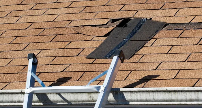 White Roofing Service - Champaign / Savoy Picture 6