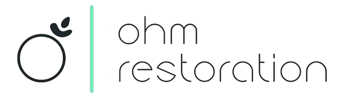 Ohm Restoration Picture 1