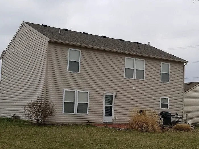 Moss Roofing Picture 4