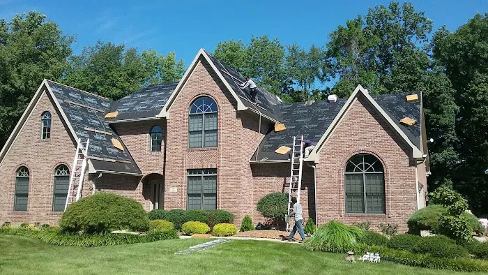 Moss Roofing Picture 3