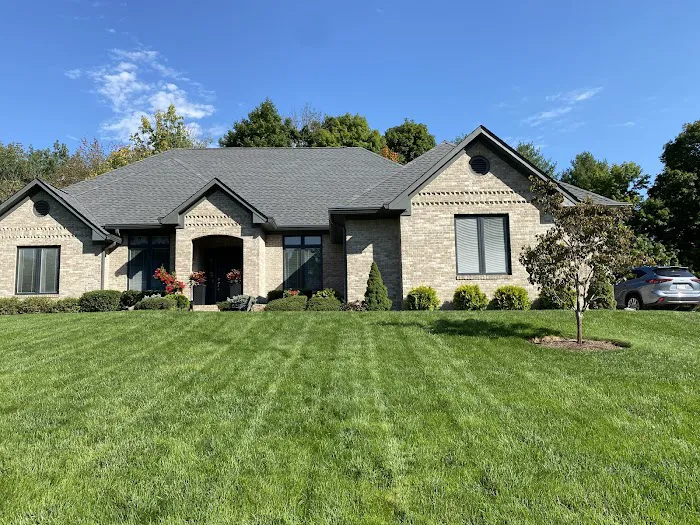 Moss Roofing Picture 5