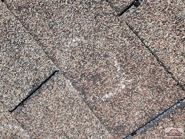 Dry By Design Picture 3