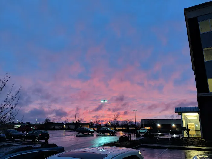 Dry By Design Picture 9