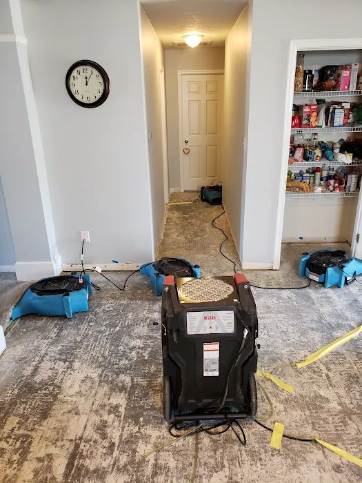 Dry By Design Picture 10