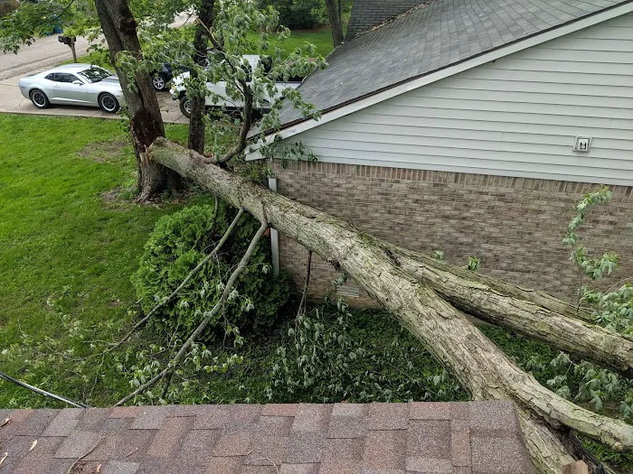 Dry By Design Picture 8