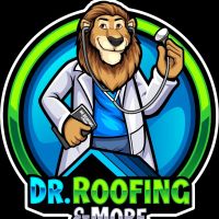 Dr. Roofing & More ico