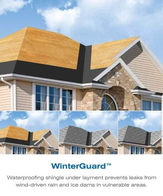 Exterior Services For You LLC Picture 8