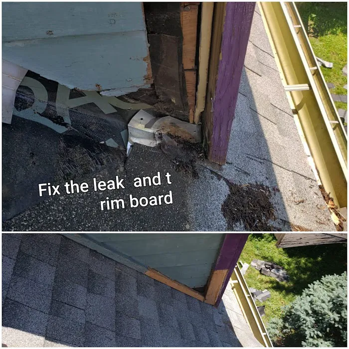 Exterior Services For You LLC Picture 10