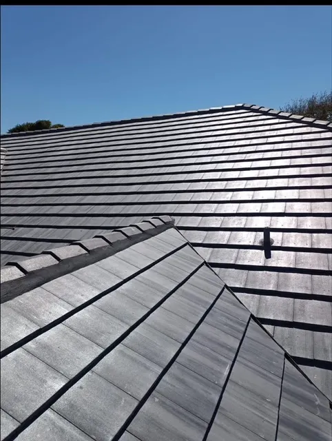 Sidney Roof Masters Picture 1