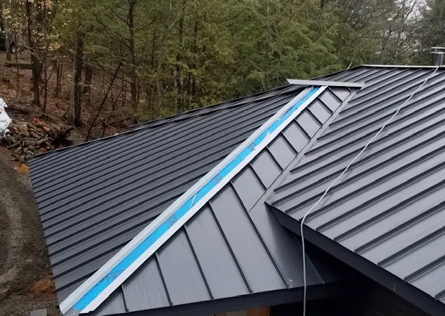 Sidney Roof Masters Picture 10