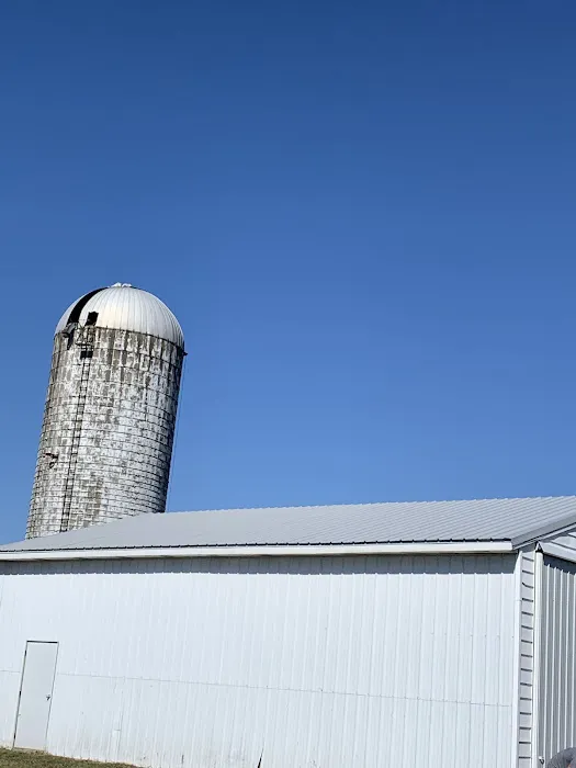 Rak Services Picture 9