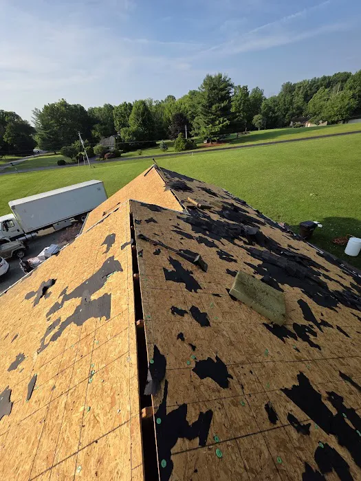 CSY Roofing Picture 3