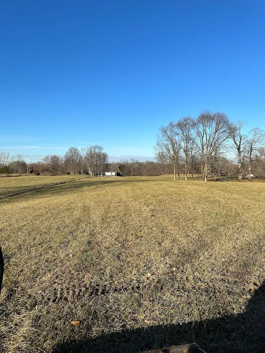 CSY Roofing Picture 5