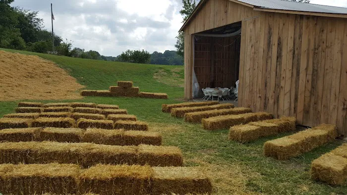 CSY Roofing Picture 10