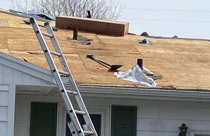 Schaefer and Company Picture 1