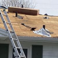 Schaefer and Company ico