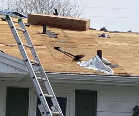 Schaefer and Company